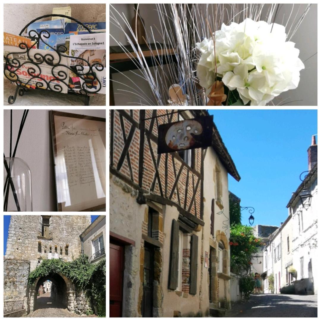 L'Echappee En Sologne Vila Mennetou-sur-Cher Exterior foto